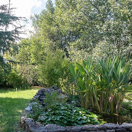 Au Detour Des Vignes Bed & Breakfast Ordonnac Exterior foto