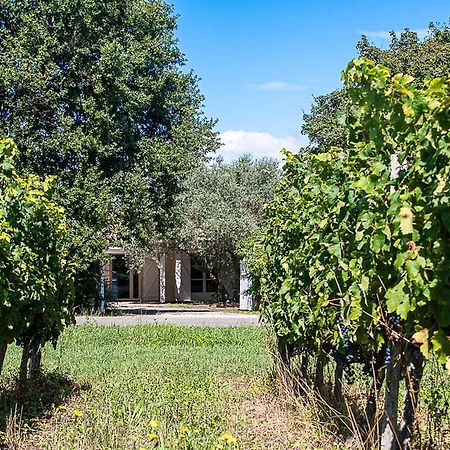 Au Detour Des Vignes Bed & Breakfast Ordonnac Exterior foto