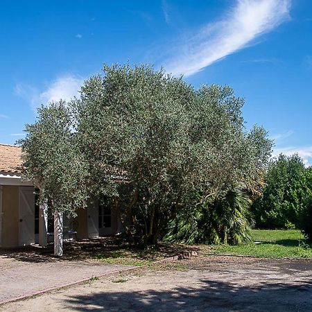 Au Detour Des Vignes Bed & Breakfast Ordonnac Exterior foto