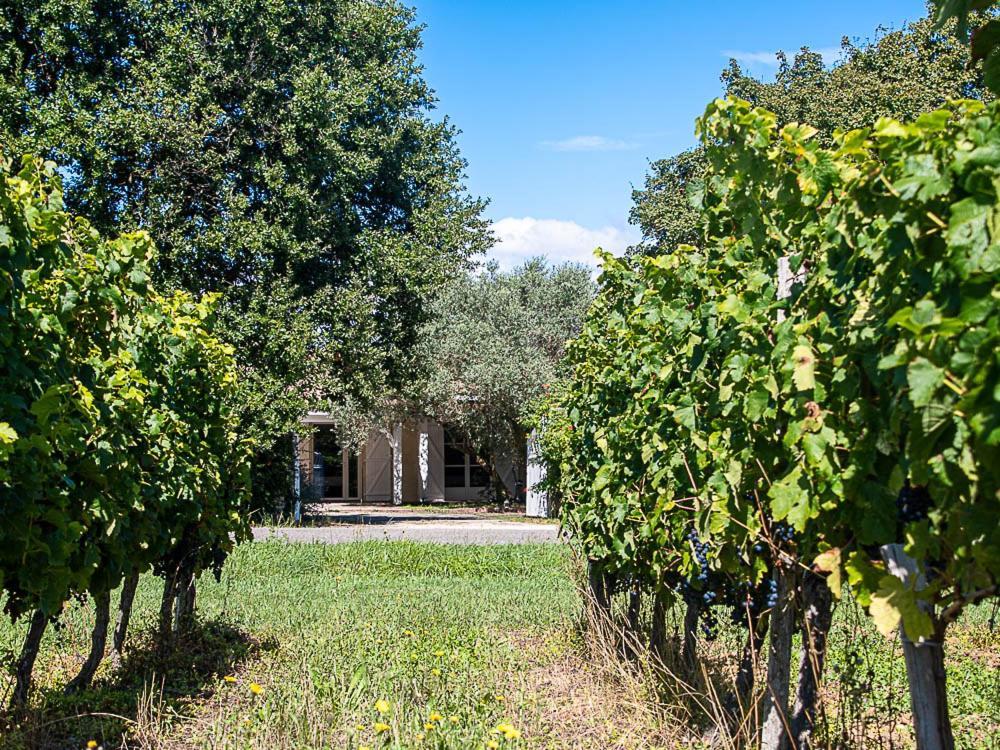 Au Detour Des Vignes Bed & Breakfast Ordonnac Exterior foto