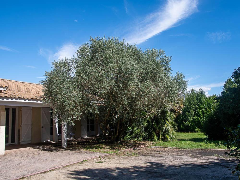 Au Detour Des Vignes Bed & Breakfast Ordonnac Exterior foto
